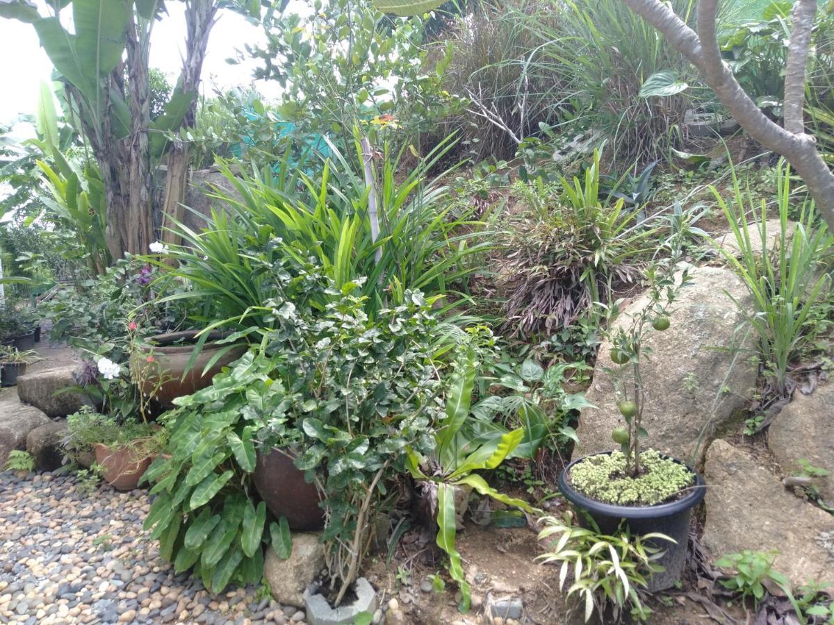 Perfect Sea View Mountain Villa Koh Samui Παραλία Σαγουένγκ Εξωτερικό φωτογραφία